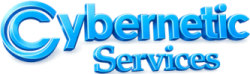 Cybernetic Services Kalyani Nagar Pune